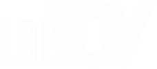 Logo LabToy
