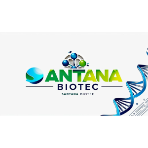 Logo Santana Biotec Inova Simples (I.s.)